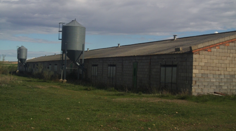 Zaragoza - Alpartir - 9500m2