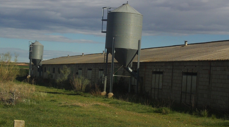Zaragoza - Alpartir - 9500m2