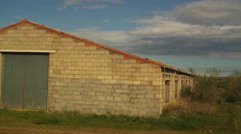 Zaragoza - Alpartir - 9500m2