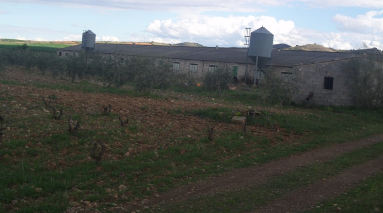 Zaragoza - Alpartir - 9500m2