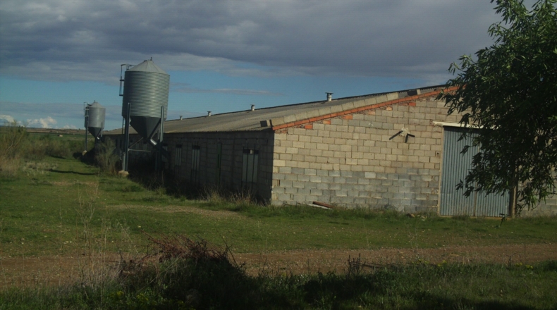 Zaragoza - Alpartir - 9500m2