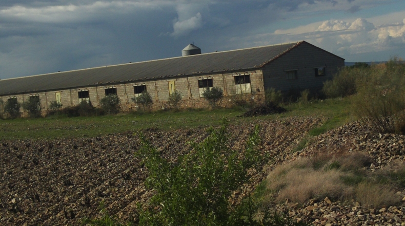 Zaragoza - Alpartir - 9500m2