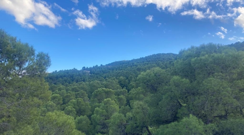 La Coruña - Oría - 500000m2