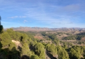 Parcel·la urbanitzable en venda a la CULLAR BAZA, Casauría, ref.: TR65550 foto