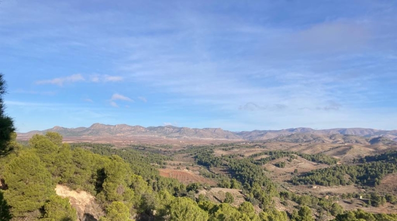 La Coruña - Oría - 500000m2