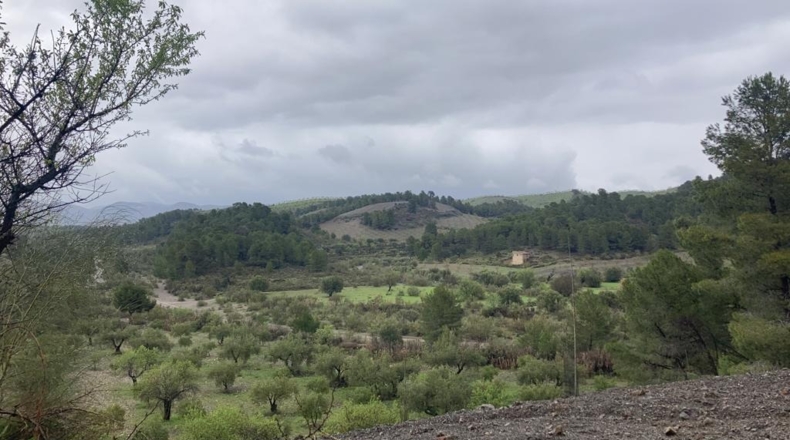 La Coruña - Oría - 500000m2