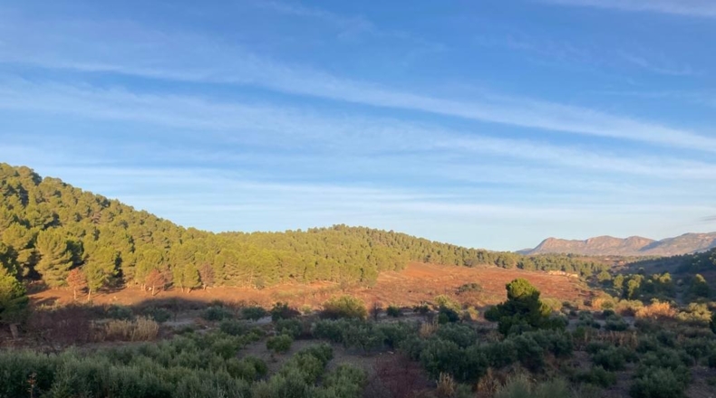 La Coruña - Oría - 500000m2