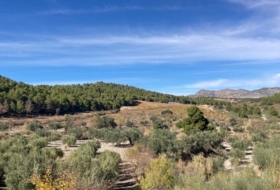 Casauría 500000&nbsp;м²
