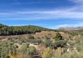 Parcel·la urbanitzable en venda a la CULLAR BAZA, Casauría, ref.: TR65550 foto