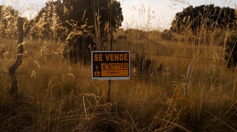 Ávila - Brieva - 11476m2