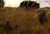 Non-developable land for sale on 40.689613, Brieva, ref: TR65558 photo