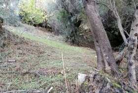 Benarrabá 700&nbsp;m² 