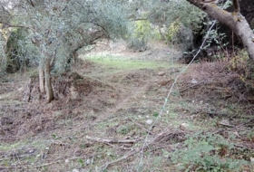 Benarrabá 700&nbsp;m² 