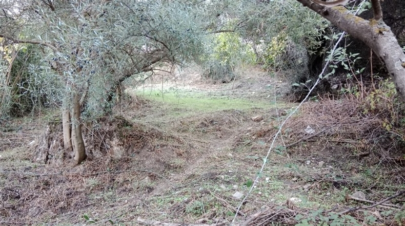 Málaga - Benarrabá - 700m2