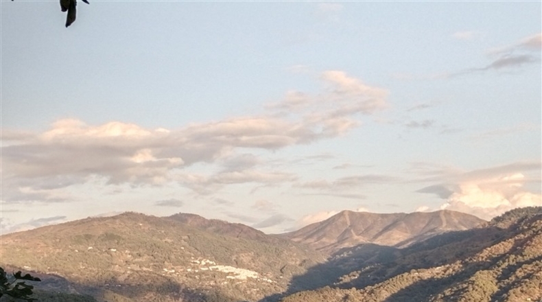 Málaga - Benarrabá - 700m2