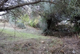 Benarrabá 700&nbsp;m² 