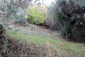 Benarrabá 700&nbsp;m² 