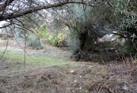 Benarrabá 700&nbsp;m² 
