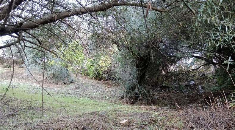 Málaga - Benarrabá - 700m2