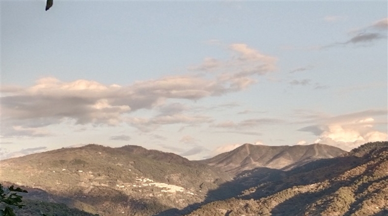 Málaga - Benarrabá - 700m2