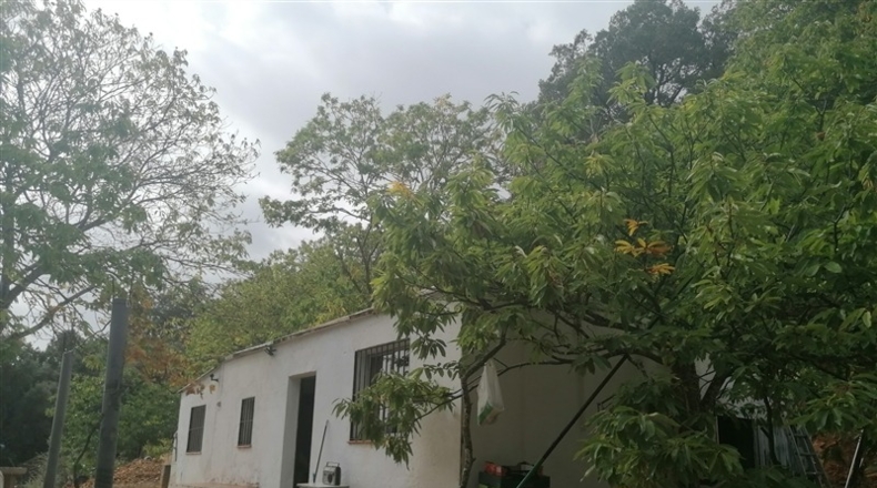 Málaga - Jubrique - 28500m2