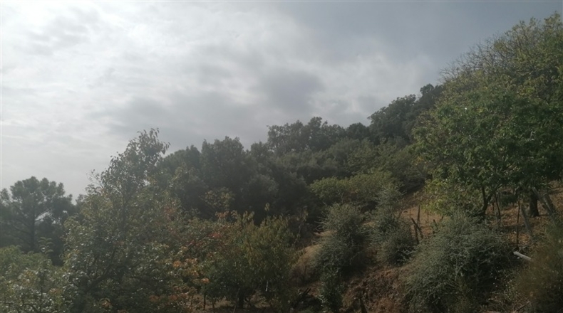 Málaga - Jubrique - 28500m2