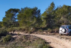 Foto 1