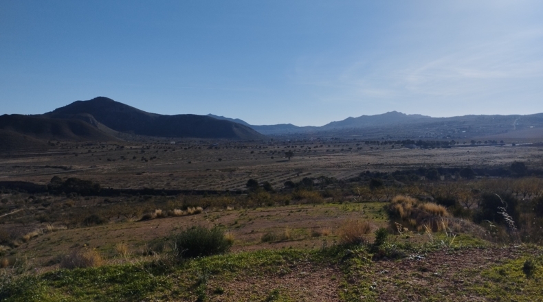 Murcia - Abanilla - 6000m2
