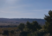 Non-developable land for sale on 38.286766, Abanilla, ref: TR65757 photo