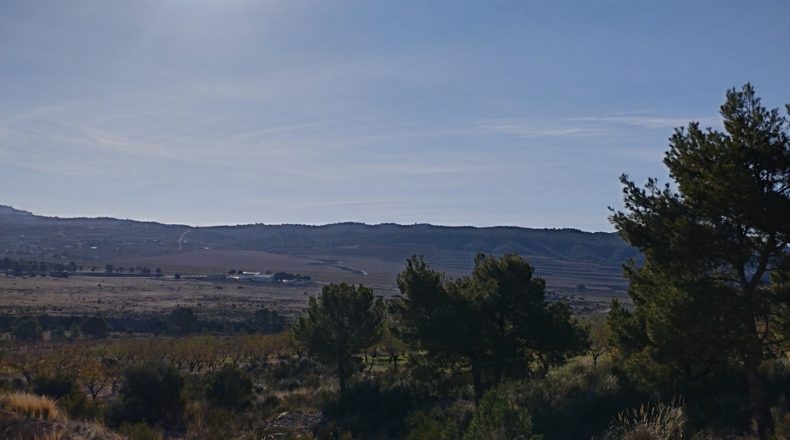 Murcia - Abanilla - 6000m2