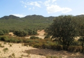 Rural estate for sale on Peñalsordo, ref: TR65888 photo