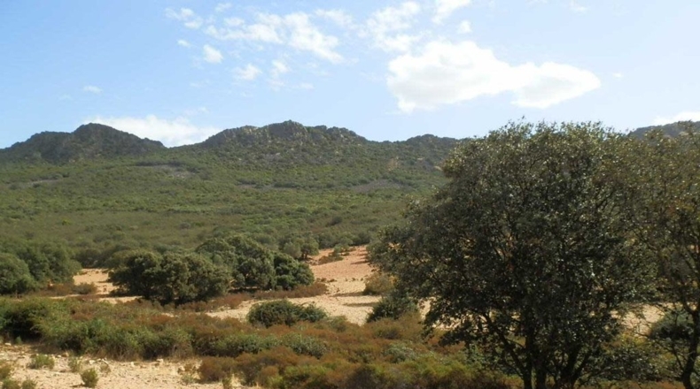 Badajoz - Peñalsordo - 6670000m2