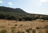 Rural estate for sale on Peñalsordo, ref: TR65888 photo