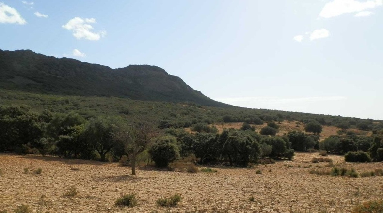 Badajoz - Peñalsordo - 6670000m2