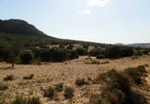 Rural estate for sale on Peñalsordo, ref: TR65888 photo