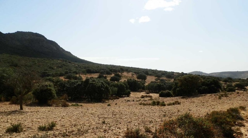 Badajoz - Peñalsordo - 6670000m2