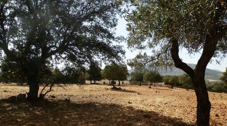 Badajoz - Peñalsordo - 6670000m2