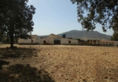 Rural estate for sale on Peñalsordo, ref: TR65888 photo
