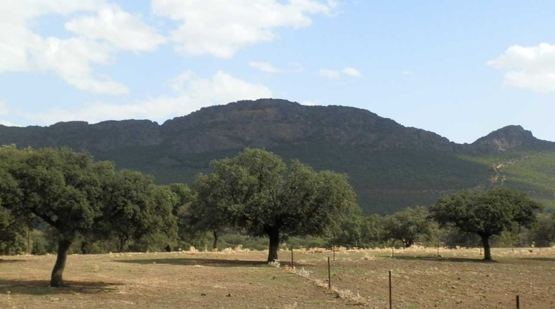 Badajoz - Peñalsordo - 6670000m2