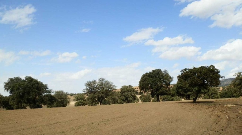 Badajoz - Peñalsordo - 6670000m2