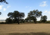 Rural estate for sale on Peñalsordo, ref: TR65888 photo