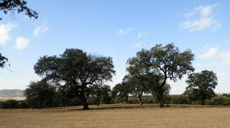 Badajoz - Peñalsordo - 6670000m2