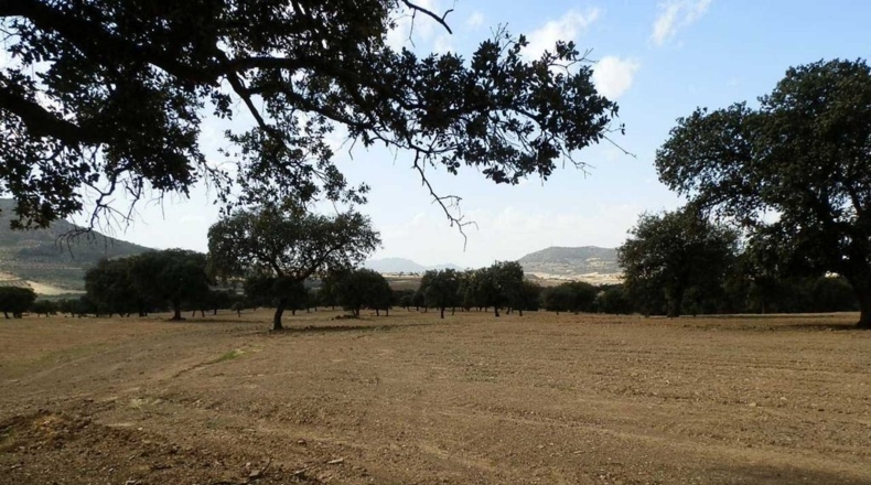 Badajoz - Peñalsordo - 6670000m2