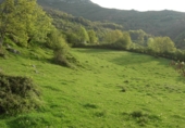 Parcel·la urbanitzable en venda a la Anzu, Anzo, ref.: TR65957 foto