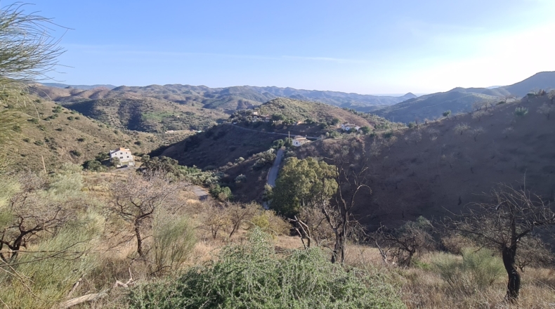 Málaga - Almogía - 6521m2