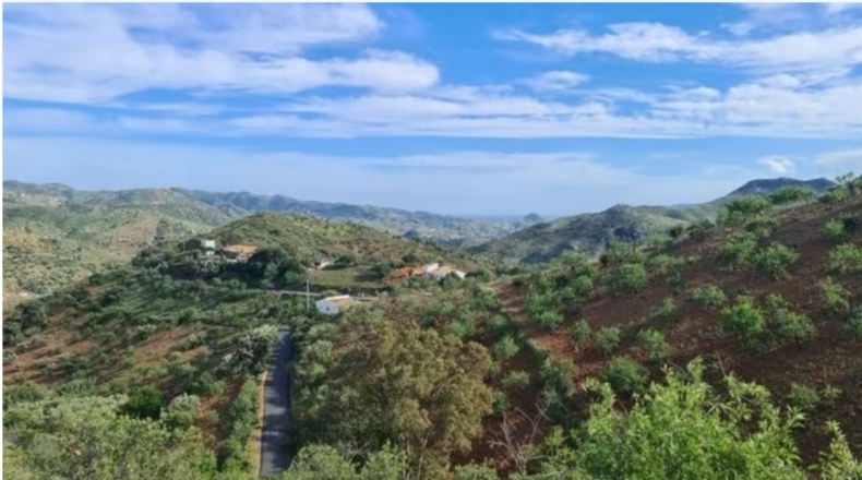 Málaga - Almogía - 6521m2