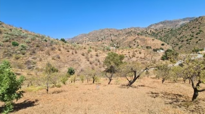 Málaga - Almogía - 6521m2