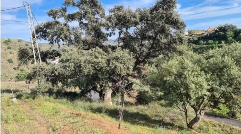 Málaga - Almogía - 6521m2