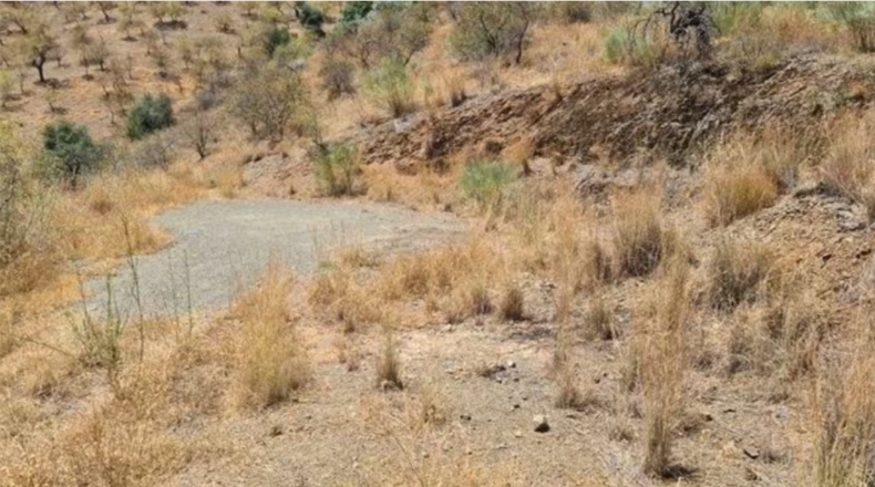 Málaga - Almogía - 6521m2