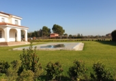Chalet independiente con terreno en venta en la Ur Palomarejos 99, Talavera de la Reina, ref: TR65980 foto